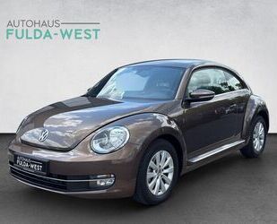 VW Beetle Gebrauchtwagen