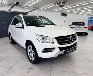 Mercedes-Benz ML 250 Gebrauchtwagen