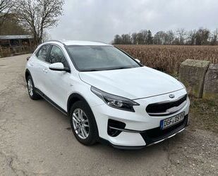 Kia XCeed Gebrauchtwagen