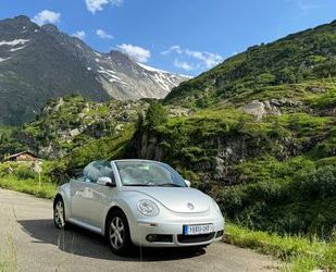 VW Beetle Gebrauchtwagen