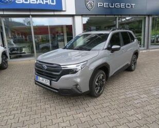 Subaru Forester Gebrauchtwagen