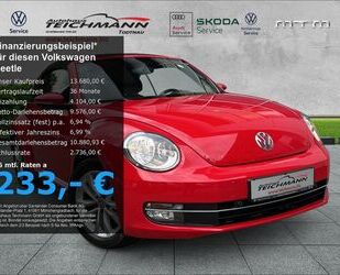 VW Beetle Gebrauchtwagen