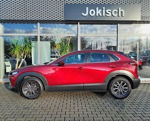 Mazda CX-30 Gebrauchtwagen