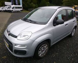 Fiat Panda Gebrauchtwagen