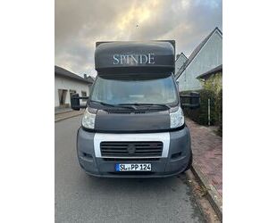 Fiat Ducato Gebrauchtwagen