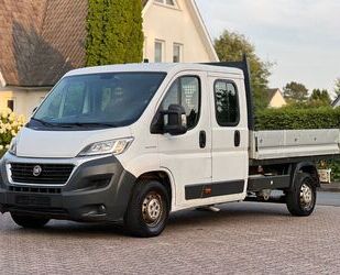 Fiat Ducato Gebrauchtwagen