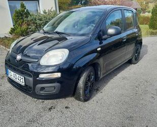 Fiat New Panda Gebrauchtwagen