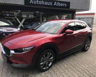 Mazda CX-30 Gebrauchtwagen