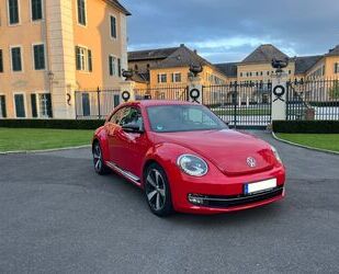 VW Beetle Gebrauchtwagen