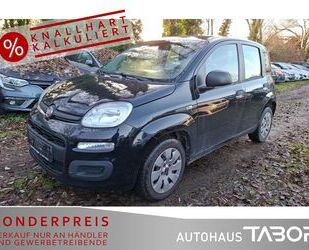 Fiat Panda Gebrauchtwagen