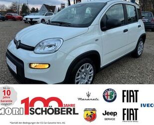 Fiat Panda Gebrauchtwagen