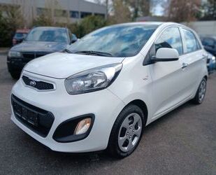Kia Picanto Gebrauchtwagen
