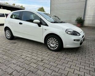 Fiat Punto Gebrauchtwagen