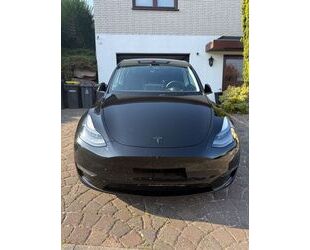 Tesla Model Y Gebrauchtwagen