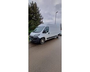 Fiat Ducato Gebrauchtwagen