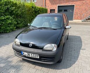 Fiat Seicento Gebrauchtwagen