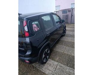 Fiat Panda Gebrauchtwagen