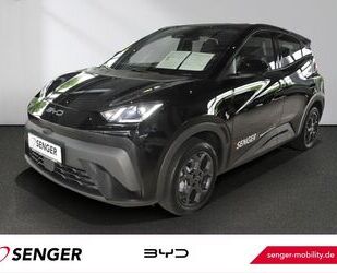 BYD DOLPHIN Gebrauchtwagen