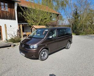 VW T5 Multivan Gebrauchtwagen