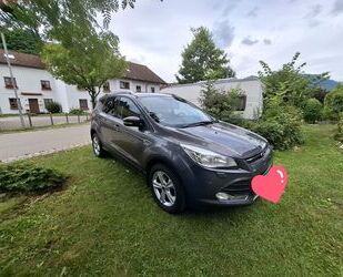 Ford Kuga Gebrauchtwagen