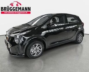 Kia Picanto Gebrauchtwagen