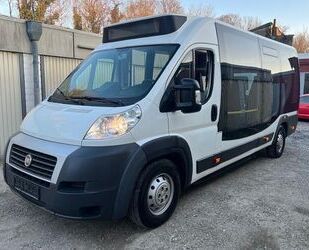 Fiat Ducato Gebrauchtwagen