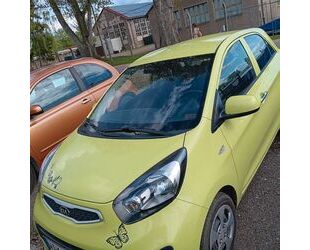 Kia Picanto Gebrauchtwagen
