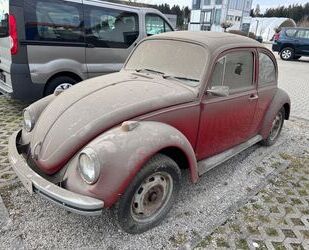 Renault Käfer 