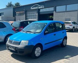 Fiat Panda Gebrauchtwagen
