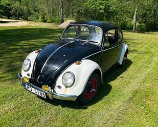 VW Käfer Gebrauchtwagen