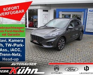 Ford Kuga Gebrauchtwagen