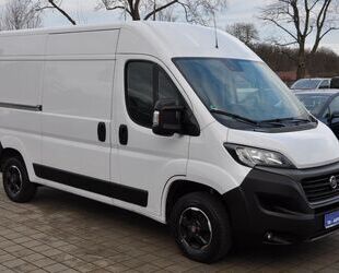 Fiat Ducato Gebrauchtwagen