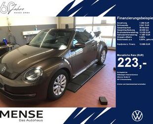 VW Beetle Gebrauchtwagen