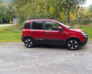 Fiat Panda Gebrauchtwagen