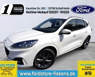 Ford Kuga Gebrauchtwagen