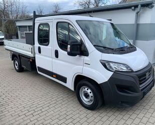 Fiat Ducato Gebrauchtwagen