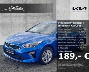 Kia ceed / Ceed Gebrauchtwagen