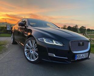 Jaguar XJ Gebrauchtwagen