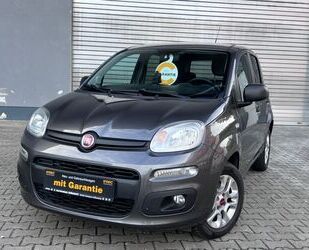 Fiat Panda Gebrauchtwagen