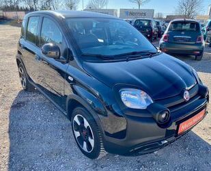 Fiat Panda Gebrauchtwagen