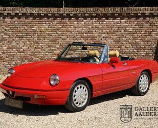 Alfa Romeo Spider Gebrauchtwagen