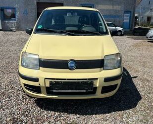 Fiat New Panda Gebrauchtwagen
