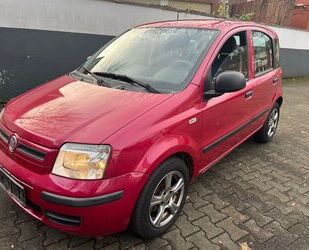 Fiat Panda Gebrauchtwagen