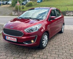 Ford Ka/Ka+ Gebrauchtwagen