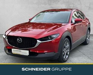 Mazda CX-30 Gebrauchtwagen