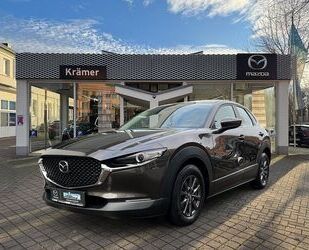 Mazda CX-30 Gebrauchtwagen