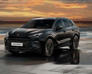 Cupra Terramar Gebrauchtwagen
