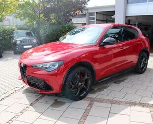 Alfa Romeo Stelvio Gebrauchtwagen