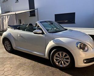 VW Beetle 