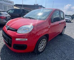 Fiat Panda Gebrauchtwagen